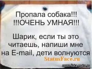 Ржачні статуси і ржачні картинки 2011 - 2012 роки (увазі) Ржачні статуси і ржачні картинки 2011 - 2012 року