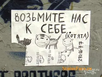 Ржачні статуси і ржачні картинки 2011 - 2012 роки (хочете) Ржачні статуси і ржачні картинки 2011 - 2012 року