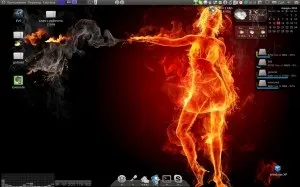 Screenlets, що це таке і з чим це їдять