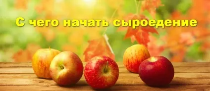З чого почати сироїдіння, світ фруктоїди (голодую основному фрукти) З чого почати сироїдіння, світ фруктоїди