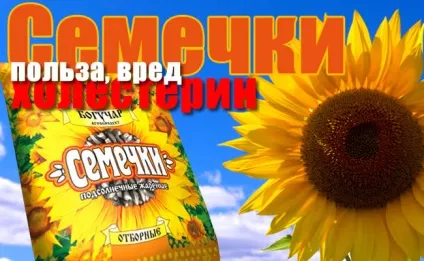 Насіння соняшнику - користь, шкода і холестерин (користь) Насіння соняшнику - користь, шкода і холестерин
