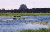 сестра річка