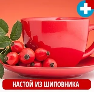 Шипшина як заварювати і пити (пити) Шипшина як заварювати і пити
