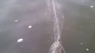 Мережа доріжка рибалка відео! Відео серфінг (мережа) Мережа доріжка рибалка відео! Відео серфінг