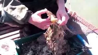 Мережа доріжка рибалка відео! Відео серфінг (відео) Мережа доріжка рибалка відео! Відео серфінг