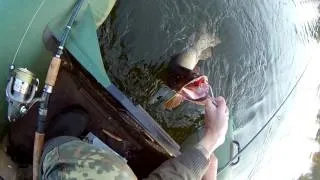 Мережа доріжка рибалка відео! Відео серфінг (рибалка) Мережа доріжка рибалка відео! Відео серфінг