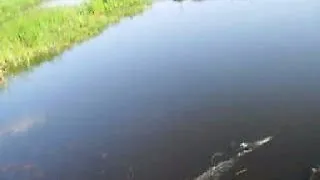 Мережа доріжка рибалка відео! Відео серфінг (https youtube watch) Мережа доріжка рибалка відео! Відео серфінг