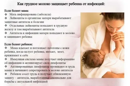 Згущене молоко при грудному вигодовуванні (відео Комаровського) (згущене молоко мамі, що годує) Згущене молоко при грудному вигодовуванні (відео Комаровського)