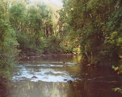 сестра річка