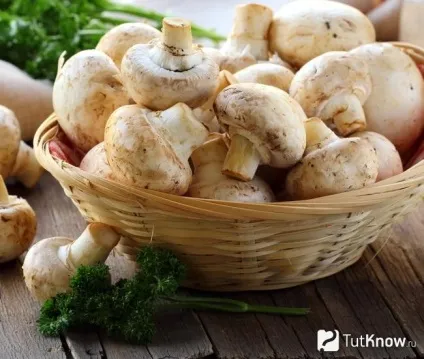 Печериці склад, калорійність, користь, рецепти
