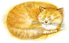 Казка про кота з чарівними вусами (кота чарівними вусами) Казка про кота з чарівними вусами
