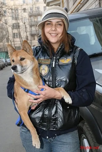 Скільки зірки витрачають на улюблених вихованців, приколи (лабрадор) Скільки зірки витрачають на улюблених вихованців, приколи