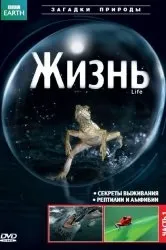 Дивитися серіал балада про бомбера онлайн безкоштовно в хорошій якості