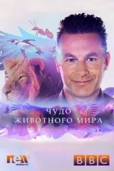 Дивитися серіал bbc найбільші явища природи онлайн безкоштовно в хорошій якості