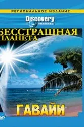 Дивитися серіал bbc найбільші явища природи онлайн безкоштовно в хорошій якості