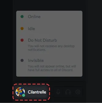 Зміна онлайн статусу - discord