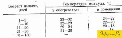 Зміст і годування качок (годування) Зміст і годування качок