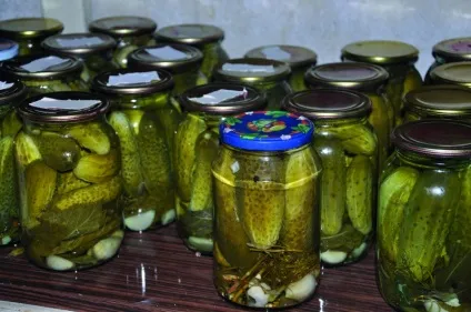 Солоні огірки на зиму в банках, рецепти (рецепти) Солоні огірки на зиму в банках, рецепти