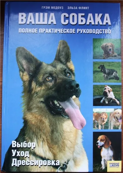 Собака в квартирі, робимо своїми руками