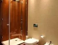 Сучасний дизайн санвузла вибір кольору, оздоблення, стилю, 34 фото красивого оформлення інтер'єру (сучасний) Сучасний дизайн санвузла вибір кольору, оздоблення, стилю, 34 фото красивого оформлення інтер'єру