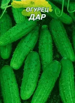сорти огірків