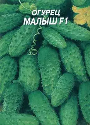 сорти огірків