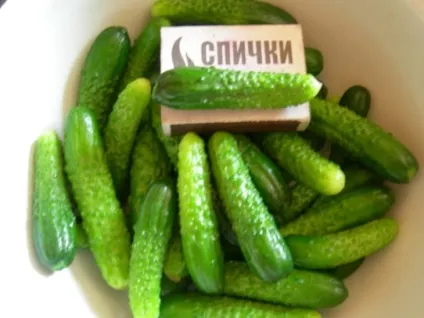 сорти огірків
