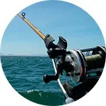 Спінінг для троллінгу shimano, black hole, daiwa - особливості вудилища, поради з вибору, відгуки (shimano) Спінінг для троллінгу shimano, black hole, daiwa - особливості вудилища, поради з вибору, відгуки