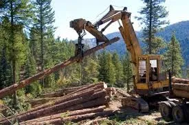 Сучасне використання деревини і її запаси