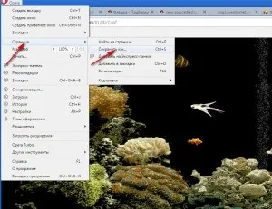 Зберегти флеш собі на комп'ютер (розширення Flash Downloader) Зберегти флеш собі на комп'ютер