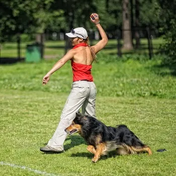 Спорт з собакою як грати в фрісбі, фристайл і скіджорінг на собаках (спорт) Спорт з собакою як грати в фрісбі, фристайл і скіджорінг на собаках