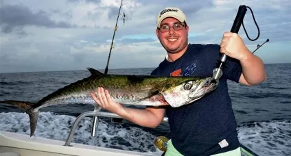 Спінінг для троллінгу shimano, black hole, daiwa - особливості вудилища, поради з вибору, відгуки (shimano) Спінінг для троллінгу shimano, black hole, daiwa - особливості вудилища, поради з вибору, відгуки
