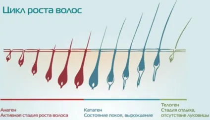Спрей Алерана від випадіння волосся інструкція, склад, дія (волосся) Спрей Алерана від випадіння волосся інструкція, склад, дія