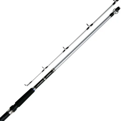 Спінінг для троллінгу shimano, black hole, daiwa - особливості вудилища, поради з вибору, відгуки (спінінг) Спінінг для троллінгу shimano, black hole, daiwa - особливості вудилища, поради з вибору, відгуки