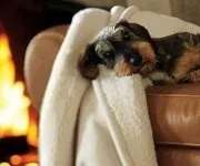 Прання подушок в домашніх умовах, ручна (пральної) Прання подушок в домашніх умовах, ручна