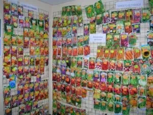 Термін зберігання насіння овочів та квітів без втрати схожості (зберігання) Термін зберігання насіння овочів та квітів без втрати схожості