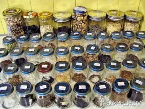 Термін зберігання насіння овочів та квітів без втрати схожості (термін) Термін зберігання насіння овочів та квітів без втрати схожості