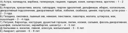 Термін придатності насіння квітів