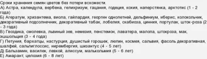 Термін придатності насіння квітів