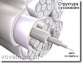 Сухожилля, сила сухожиль, справжня сила