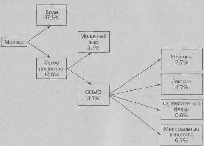 Суху речовину молока (молока) Суху речовину молока