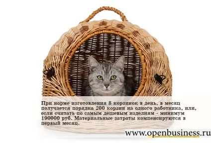 Свій бізнес з виробництва кошиків для домашніх тварин (лозоплетіння) (виробництво корзин) Свій бізнес з виробництва кошиків для домашніх тварин (лозоплетіння)