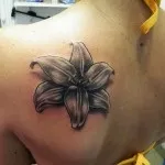 Тату лілія значення для дівчат, кращі фото і ескізи (лілія) Тату лілія значення для дівчат, кращі фото та ескізи