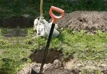 Так мама точно нічого не помітить! (Нічого) Так мама точно нічого не помітить!