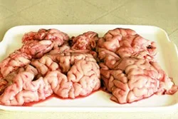 Телячі мізки - делікатес у вас вдома, рецепт приготування (рецепт) Телячі мізки - делікатес у вас вдома, рецепт приготування