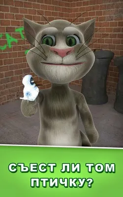 Talking tom cat андроїд гра для мобільного телефону sony ericsson xperia x10 mini