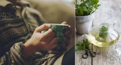 Teatime 10 способів урізноманітнити чаювання (чаювання) Teatime 10 способів урізноманітнити чаювання