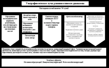 Тема iii
