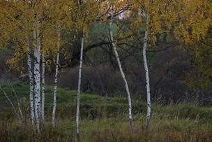 Технічні характеристики об'єктивів (Nikon AF-S 18-140mm Nikkor) Технічні характеристики об'єктивів