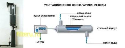 Типи фільтрів для басейнів - який варіант купити (типи) Типи фільтрів для басейнів - який варіант купити